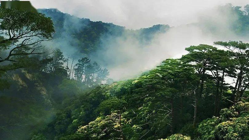 知性小姐姐穿白色无袖小衫搭蓝色紧身牛仔裤，优雅显气质，你喜欢吗？