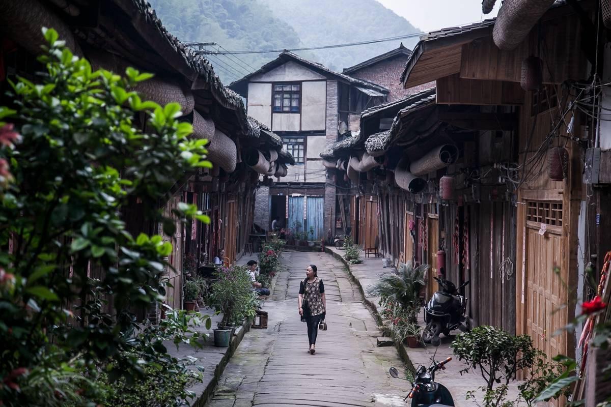 专业问答平台空调鸣叫是怎么回事?